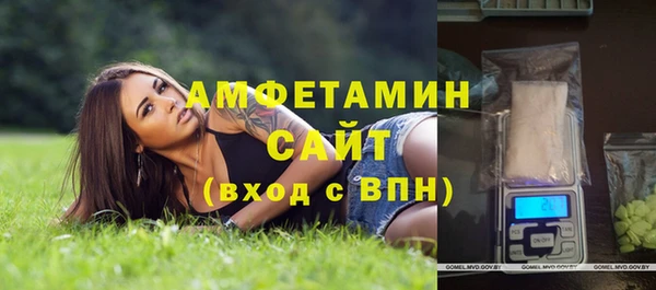 гидра Гусиноозёрск