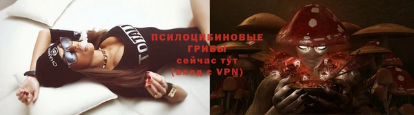 прущие грибы Горнозаводск