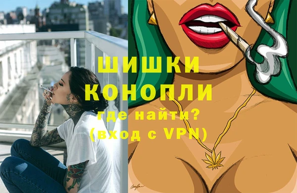 прущие грибы Горнозаводск