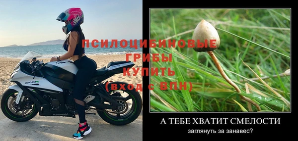 2c-b Горно-Алтайск