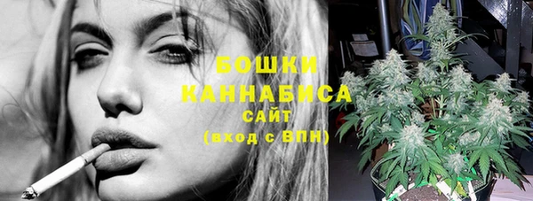 гидра Гусиноозёрск