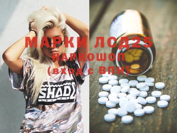 прущие грибы Горнозаводск