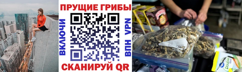 Псилоцибиновые грибы GOLDEN TEACHER  МЕГА ссылка  Москва 
